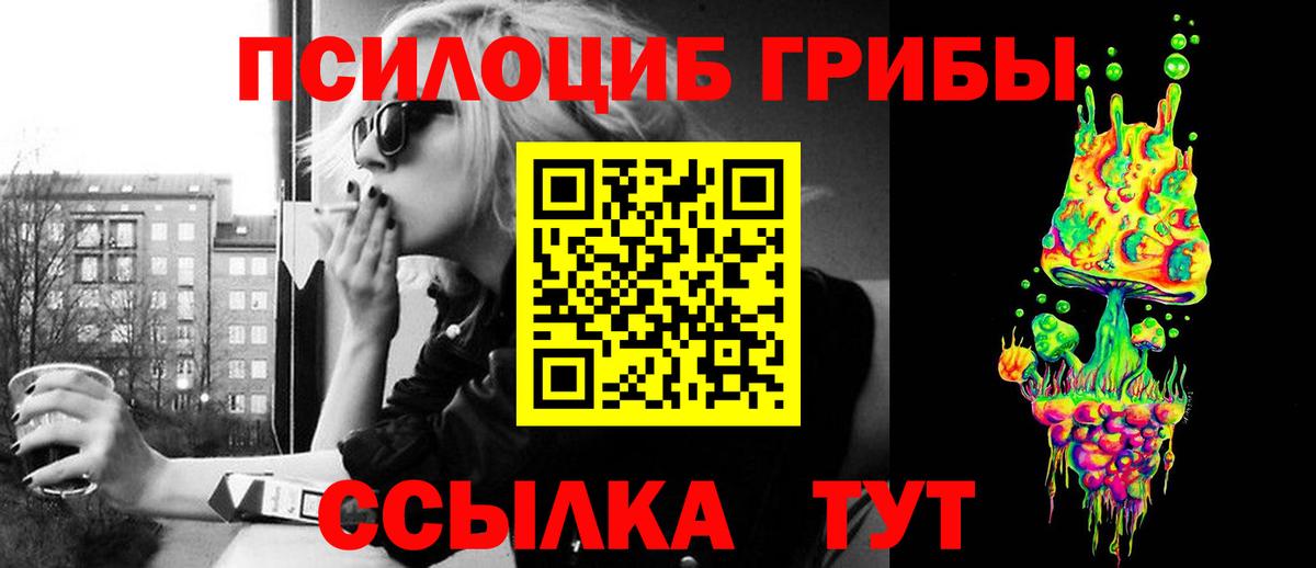 купить   Вход с VPN  Кимовск  Псилоцибиновые грибы Psilocybine cubensis 