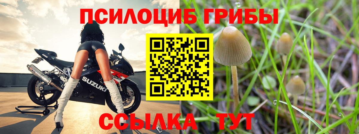COCAIN  A PVP СК кристаллы  Кимовск  МАРИХУАНА  Вход с VPN  Как найти наркотики?  Меф МЯУ МЯУ кристаллы  ГАШ  ТГК 
