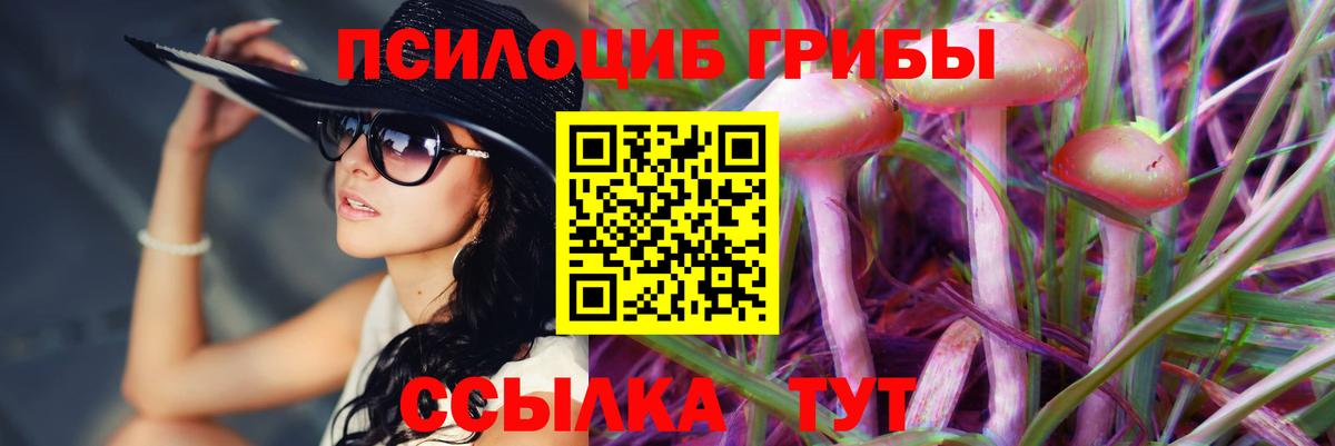 Галлюциногенные грибы Psilocybine cubensis Кимовск